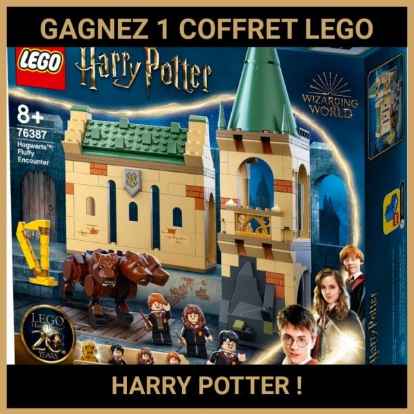 CONCOURS : GAGNEZ 1 COFFRET LEGO HARRY POTTER !