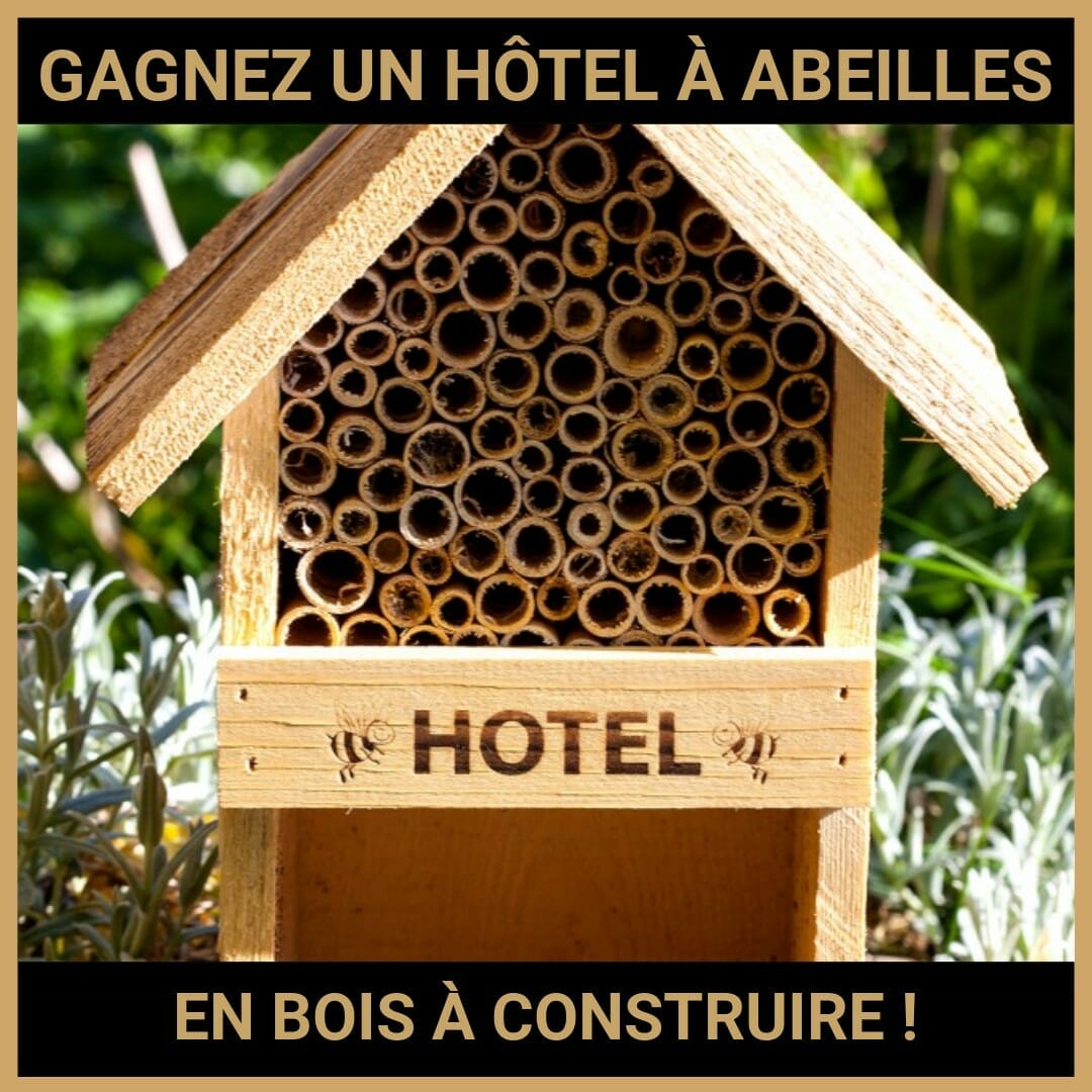 JEU CONCOURS GRATUIT POUR GAGNER UN HÔTEL À ABEILLES EN BOIS À CONSTRUIRE !
