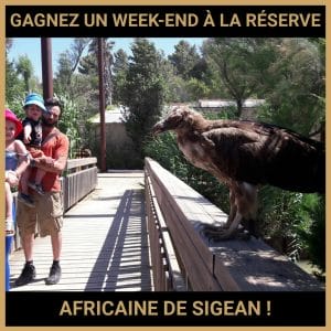 JEU CONCOURS GRATUIT POUR GAGNER UN WEEK-END À LA RÉSERVE AFRICAINE DE SIGEAN !